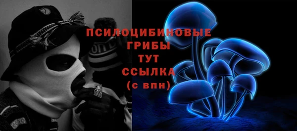 apvp Алексеевка