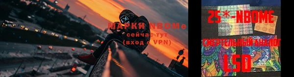 крисы Алзамай