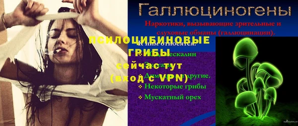 apvp Алексеевка