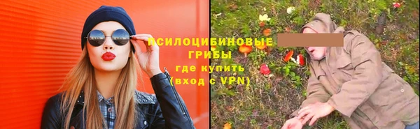 apvp Алексеевка