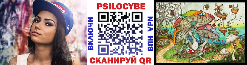 Псилоцибиновые грибы Cubensis  Сосновый Бор 
